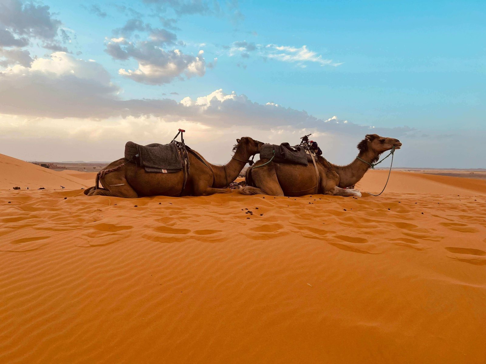 Best Guided Desert Tours in Morocco for an Unforgettable Adventure